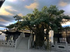 -馋遇江南·精致湖景雅宴(东方之门店)