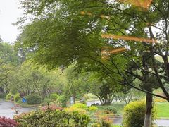 -浙江西子宾馆·瑶园咖啡厅