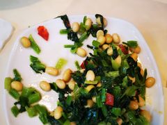 -苏氏牛肉面(机场店)