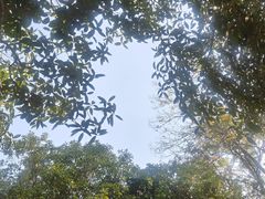 -月湖风景区