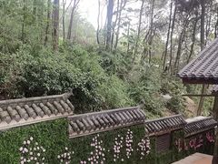 -巴倒烫陆派重庆火锅(南山店)