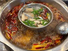 -金鼎雪山牦牛杂火锅(理县总店)