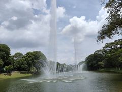 -东莞植物园