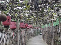 -元鼎宝驴香·全驴宴(江宁店)