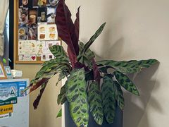 -丘中有甜(乐清·江南里店)