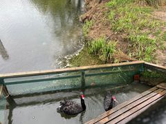 -东平国家森林公园