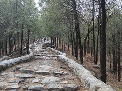 -阳台山自然风景区