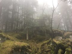 -冶力关旅游区