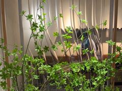 -喜茶(广州保利中环店)