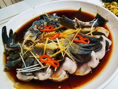 -煲来饱去冷水鱼