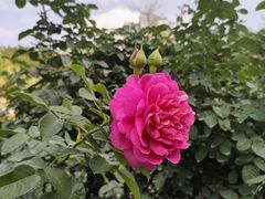 -人民公园(罗湖区)