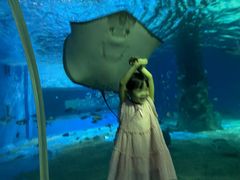 -北戴河圣蓝海洋公园