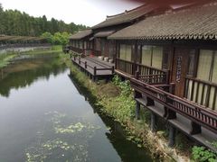 -上海鲜花港
