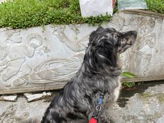 -桤木河湿地公园