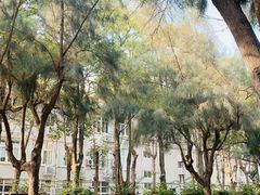 -厦门大学(思明校区)