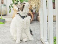 -小时光咖啡馆(北锣鼓巷店)