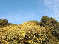 -牛岗山公园