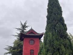 -洛阳白马寺