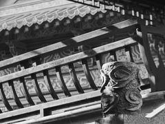-龙潭水乡