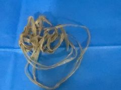 -谐和益家动物医院·免疫绝育·血液透析·宠保定点医院(高新伊藤分院)