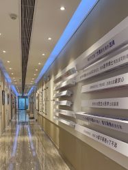 -上海首尔丽格医疗美容医院