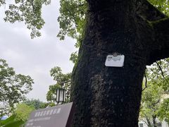-黄埔古港