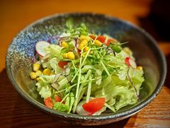 蔬菜沙拉-五道双马·双马餐厅(五道口店)