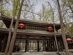 -大慈恩寺(大雁塔)