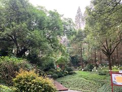 -忠山公园