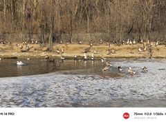 -沈阳鸟岛