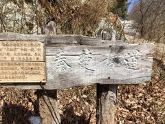 -终南山国家森林公园