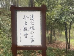 -兰亭风景区