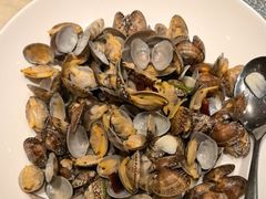 -海派美食·家宴海鲜青岛菜·石锅鲽鱼头(东方城店)