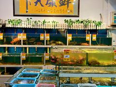 -鑫悦楼煎蟹·16年海鲜大排档