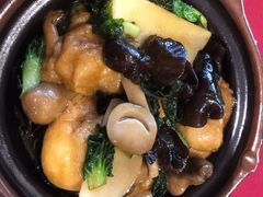 双菇面筋煲-老吉士酒家(天平路店)