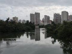 -金鸡岭桥头公园