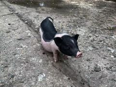 -昆山城市生态森林公园