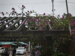 -老鼎万春卤菜(五代传承创始老店)