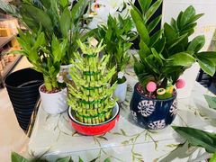 -何兮花店·气球派对鲜花店(马桥银春路万科城店)