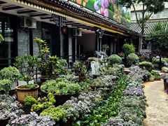 -山菌美食苑(振兴路店)