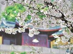 -鸡鸣寺