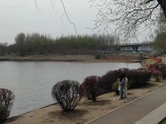 -丁香湖公园