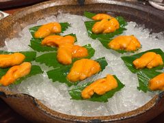 -月龍吟(朝龙汇店)
