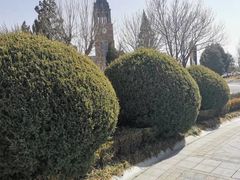 -天津京基皇冠假日酒店