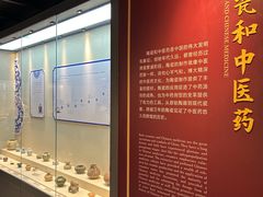 -广东中医药博物馆
