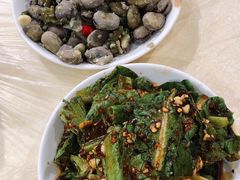 活捉莴笋-东吴霸王兔(松青路店)