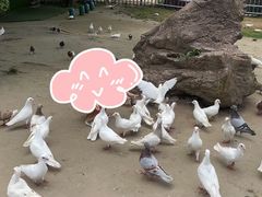 -南通洲际绿博园