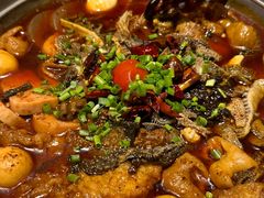 -眉州东坡·熊猫主题餐厅(枫蓝店)