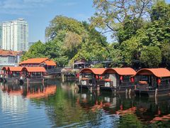 -侨美·唐荔园·40年地道粤菜