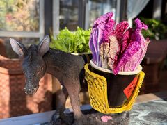 -慢丽江·云南野生菌土鸡锅(西山店)